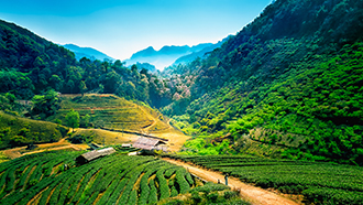 农村电商解决方案